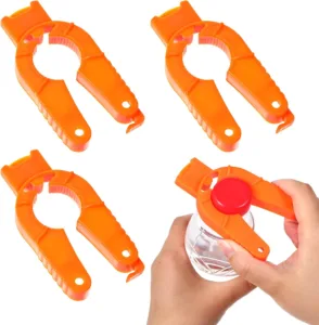 Bewudy abrebotes económico